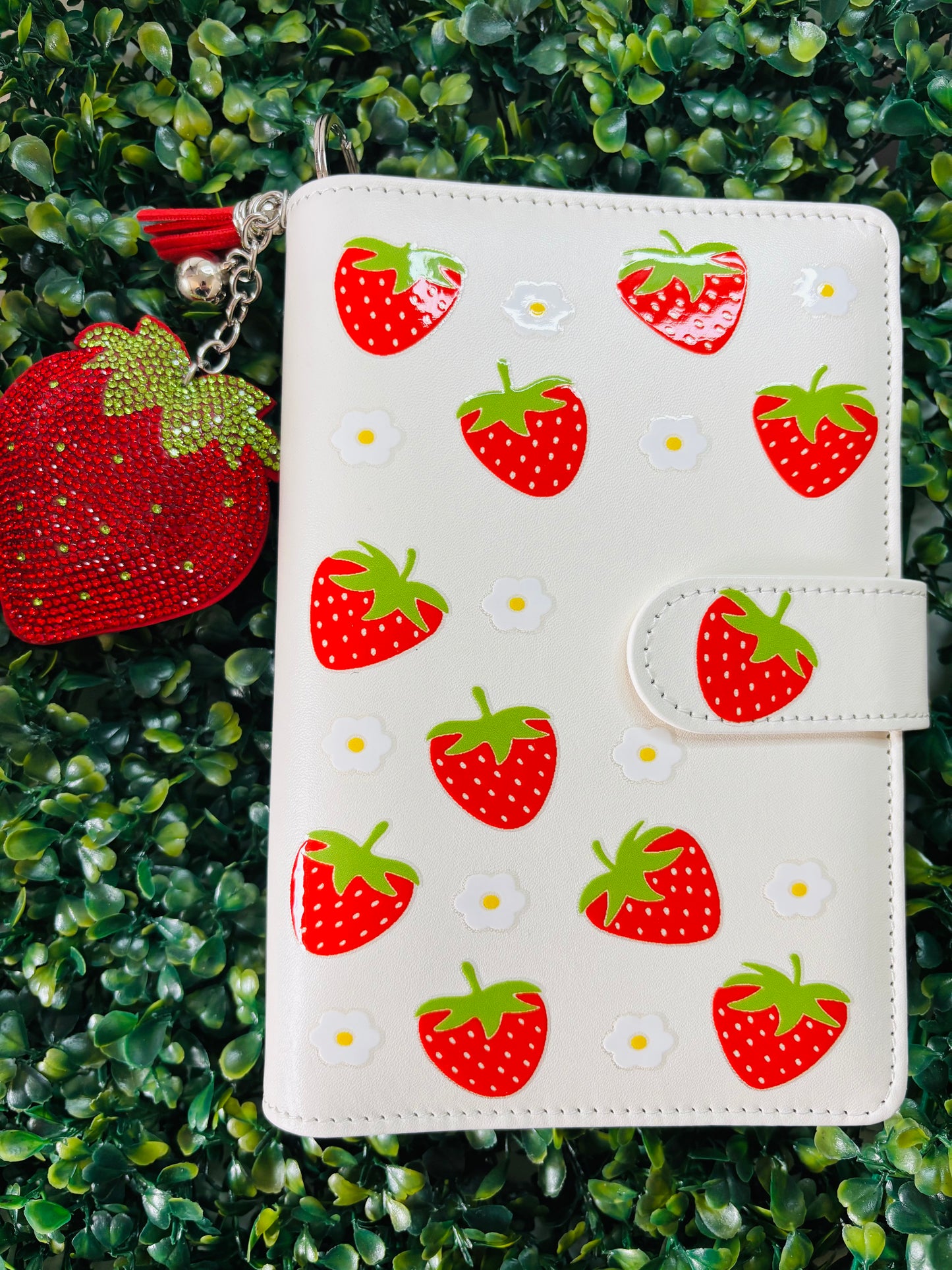 *NEW* ๐๐๐ Fruit A6 Savings Challenge Binder with Charm