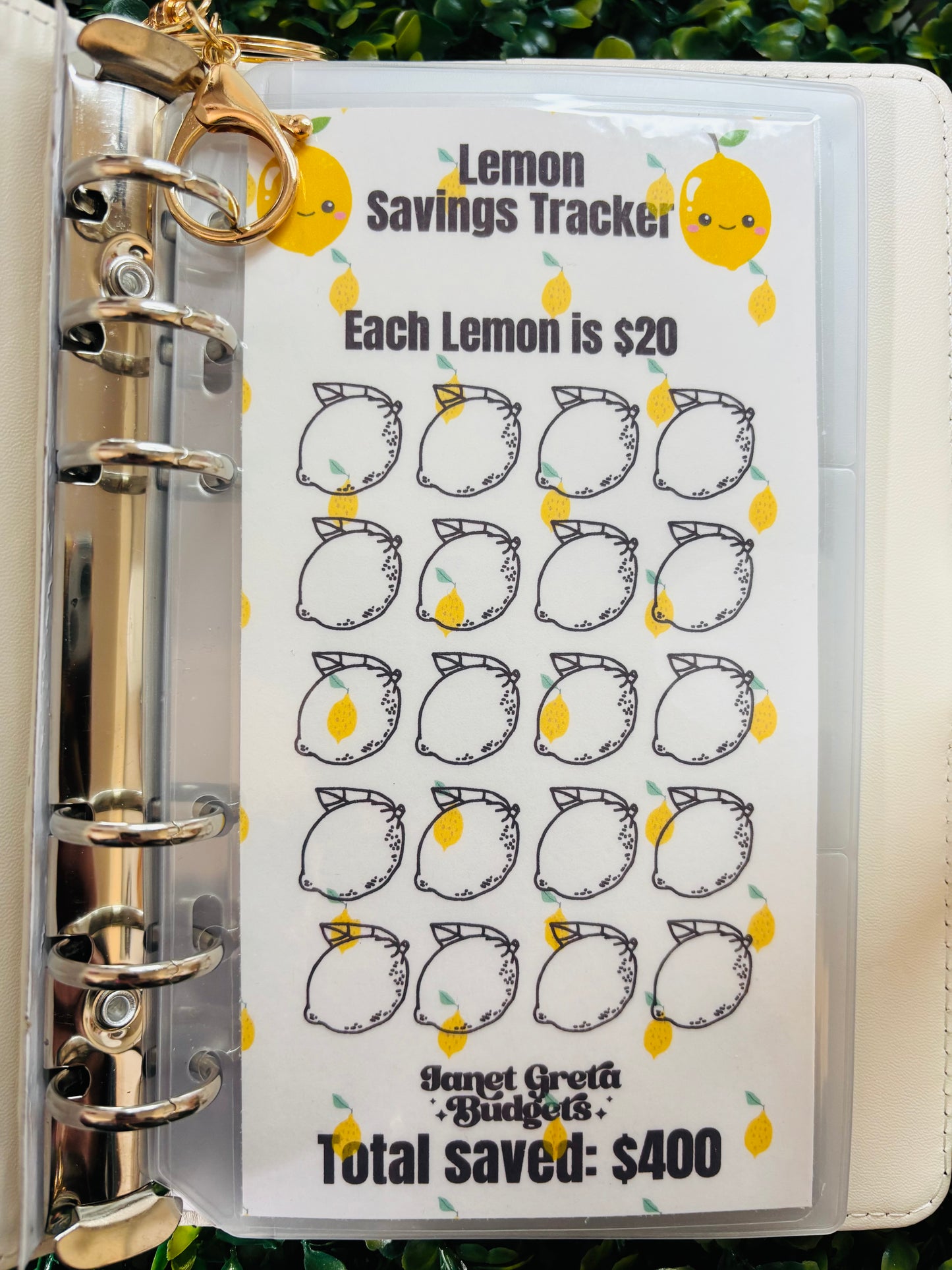 *NEW* ๐๐๐ Fruit A6 Savings Challenge Binder with Charm