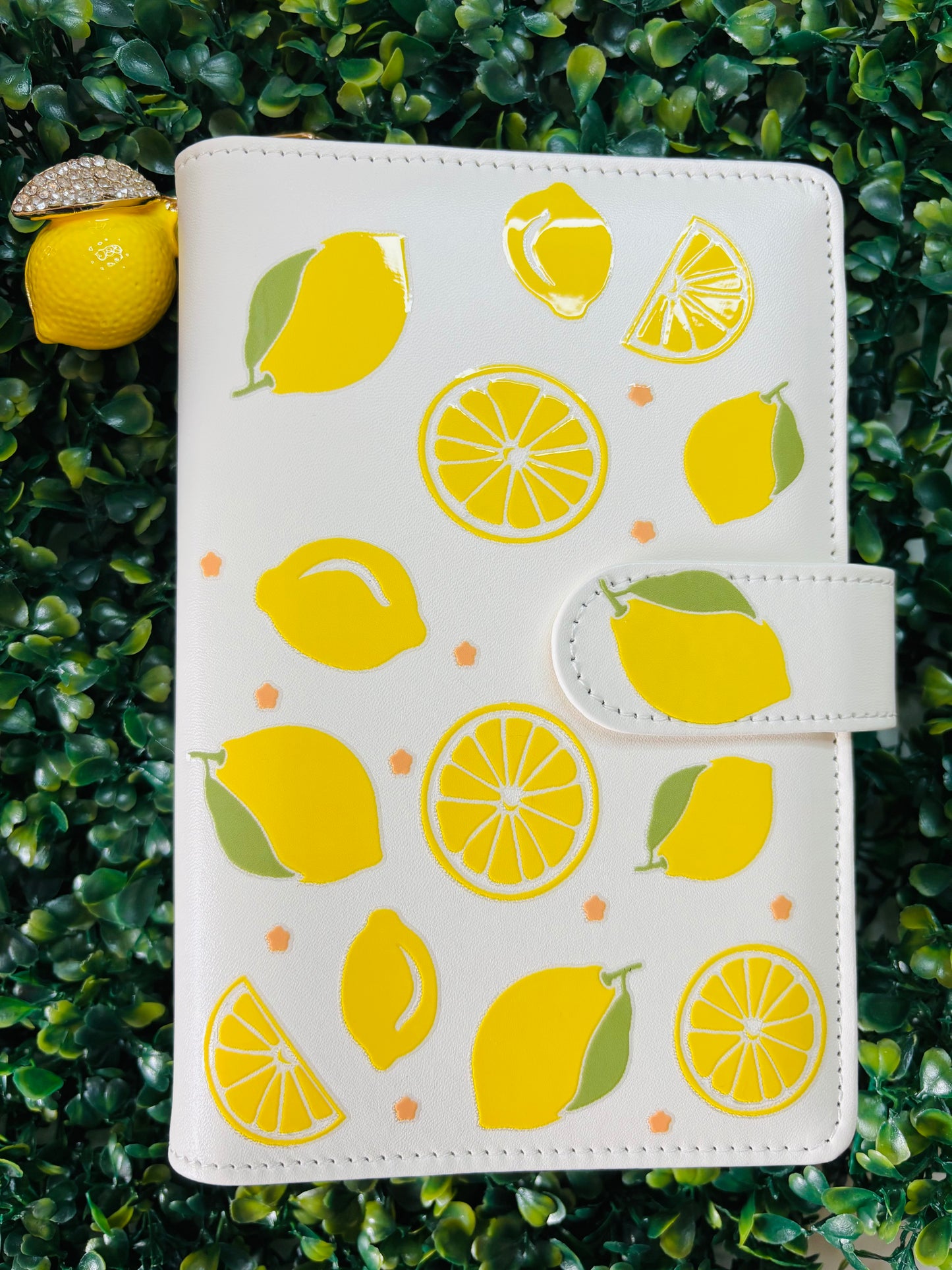*NEW* ๐๐๐ Fruit A6 Savings Challenge Binder with Charm