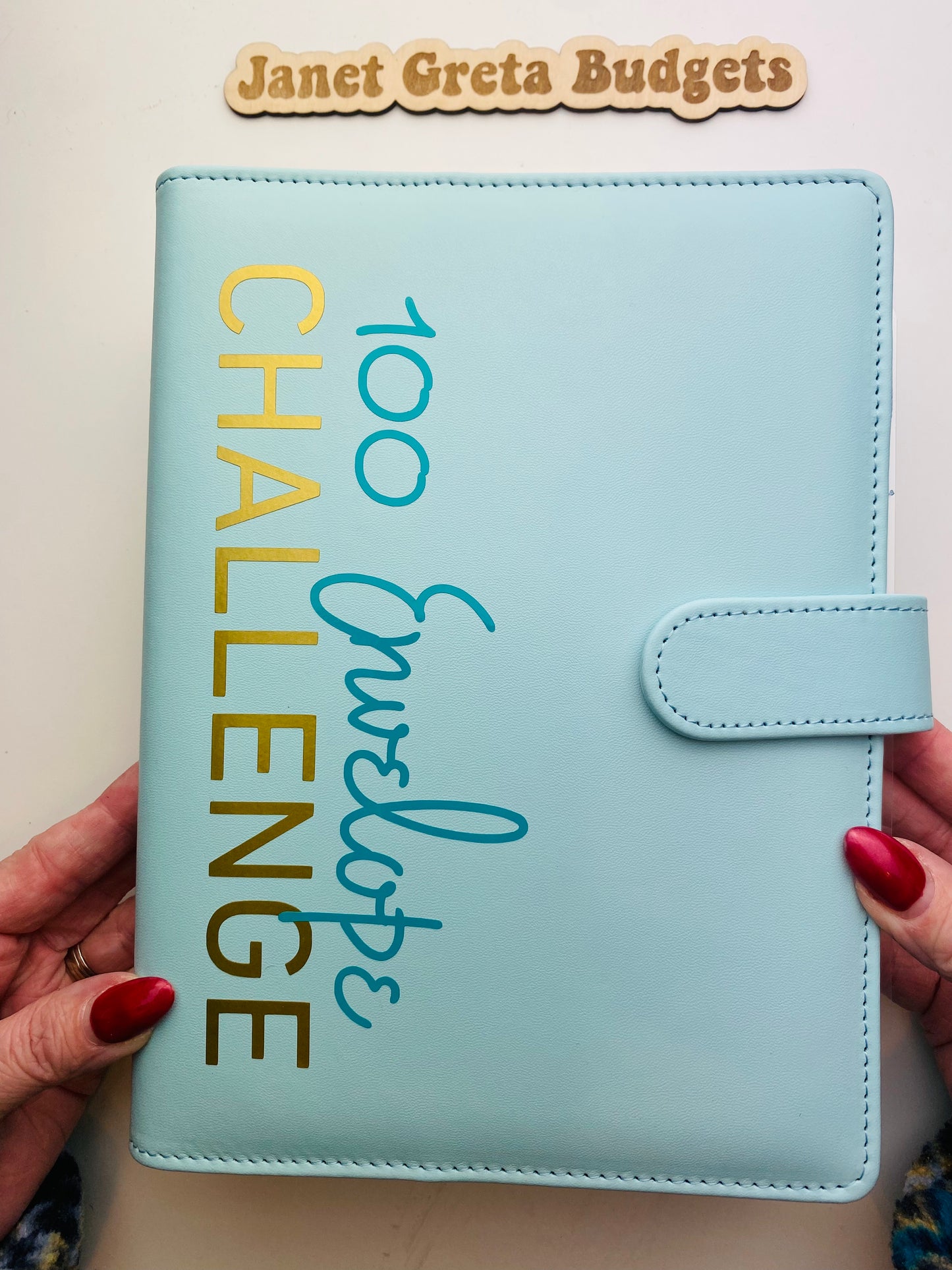 100 Envelope Savings Challenge Binder (Complete Set) NO FOLDING BILLS!