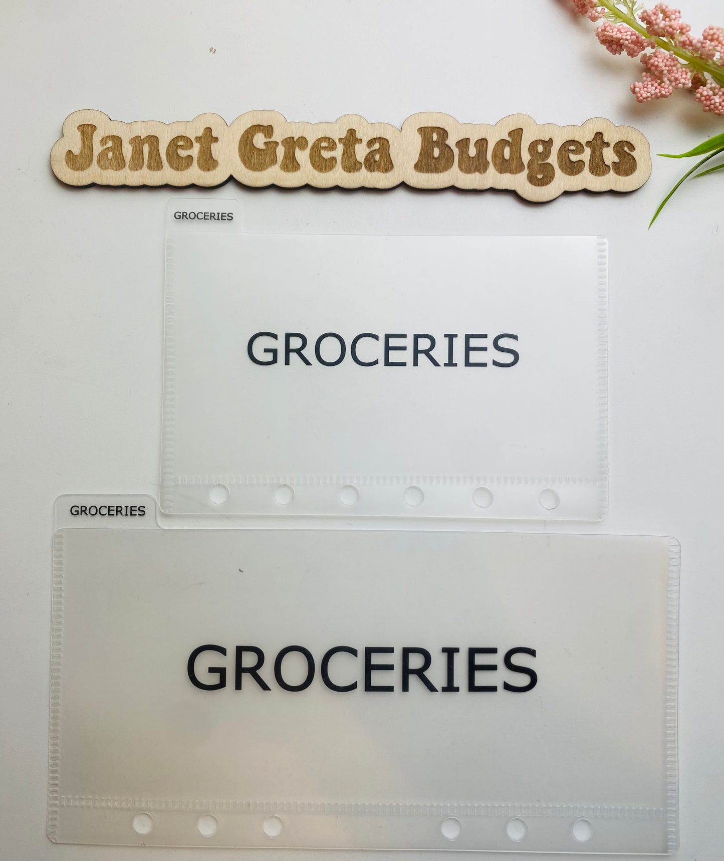 Labeled Frosted Tabbed Cash Budget Envelopes