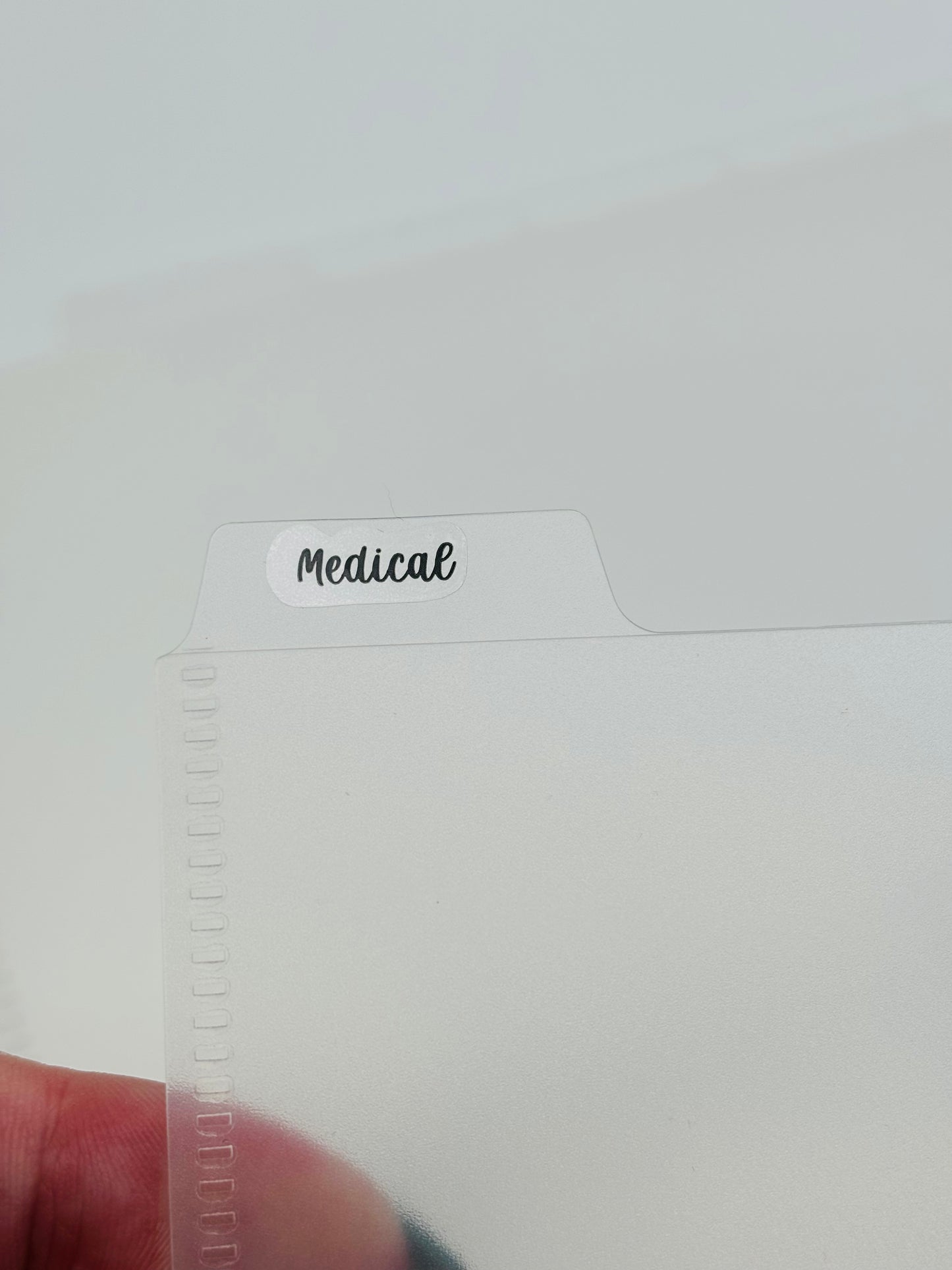 Tabbed Cash Budget Envelopes with Budget Sticker Sheet