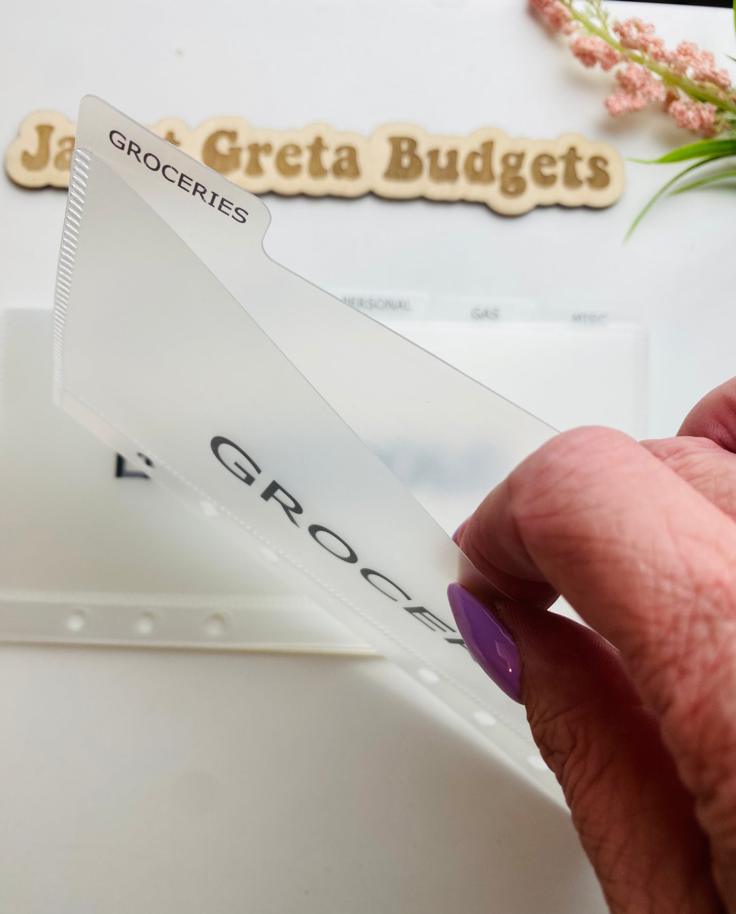 Labeled Frosted Tabbed Cash Budget Envelopes
