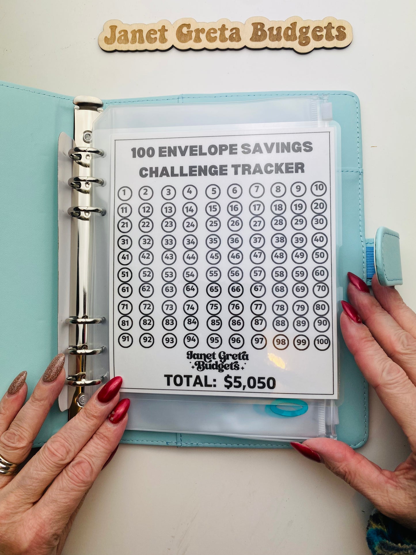 100 Envelope Savings Challenge Binder (Complete Set) NO FOLDING BILLS!
