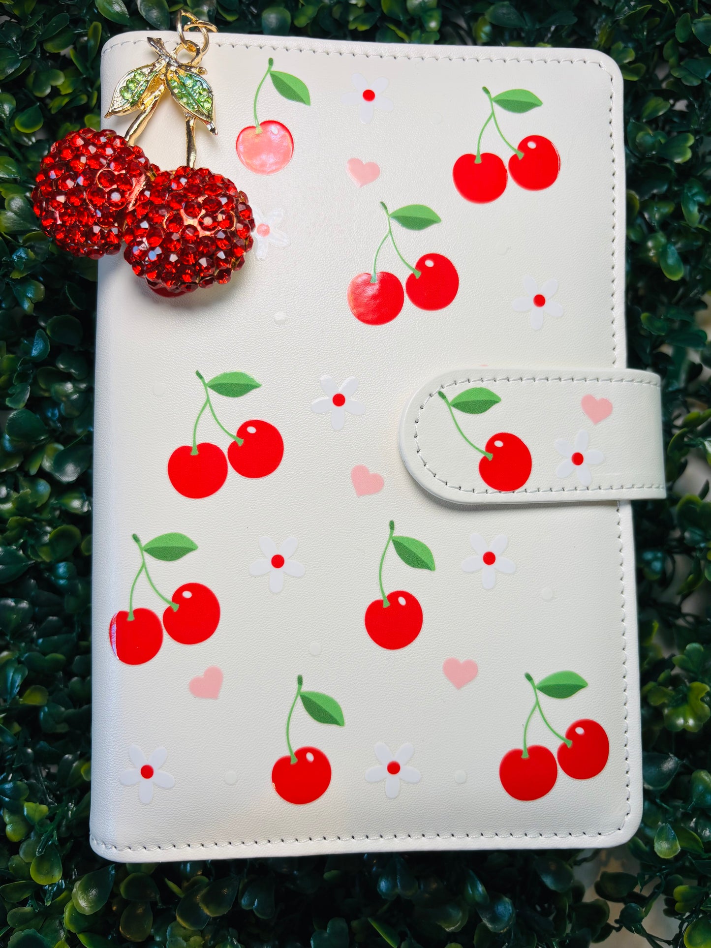 *NEW* 🍒🍓🍋 Fruit A6 Savings Challenge Binder with Charm
