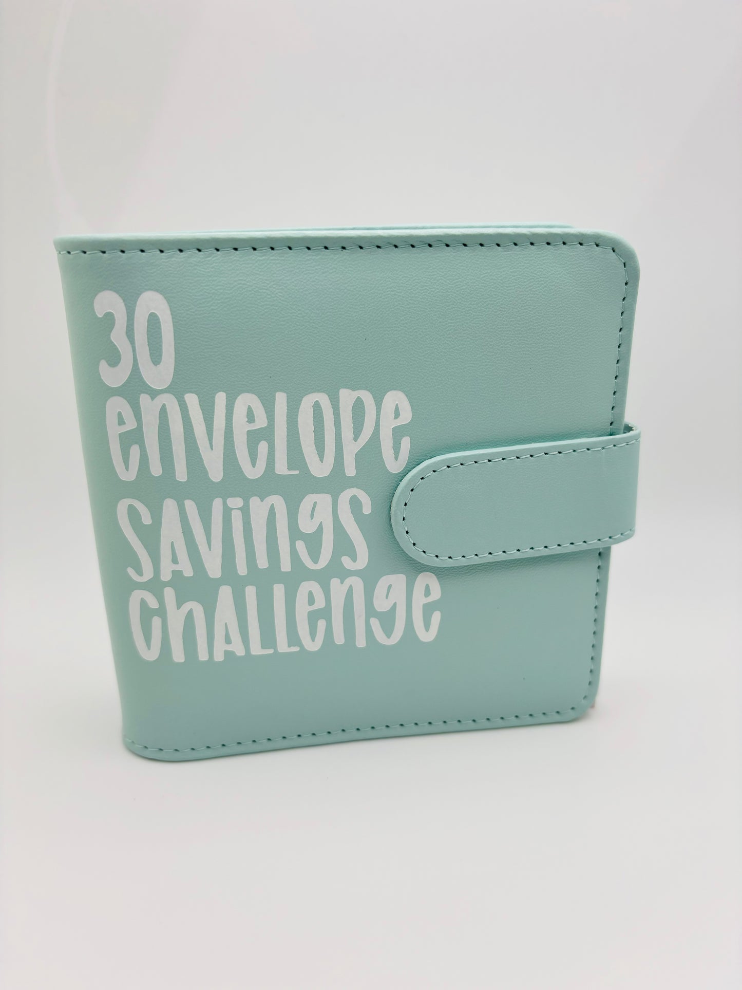 *NEW* 30 Envelope Savings Challenge