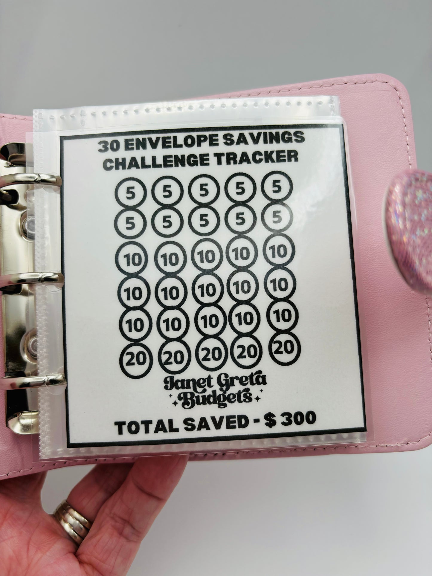 *NEW* 30 Envelope Savings Challenge