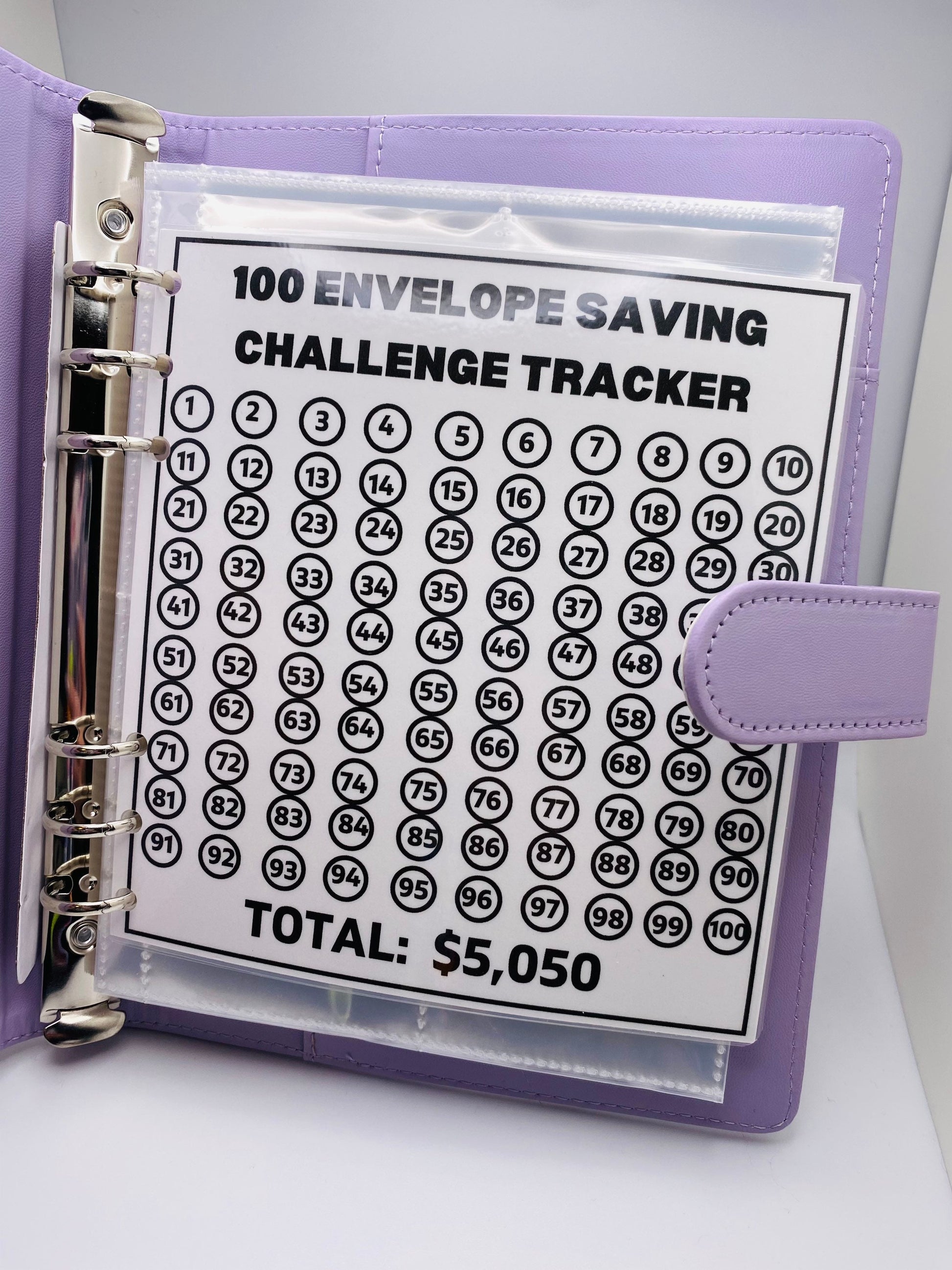 100 Envelope Savings Challenge TRACKER & INSERTS ONLY – Janet